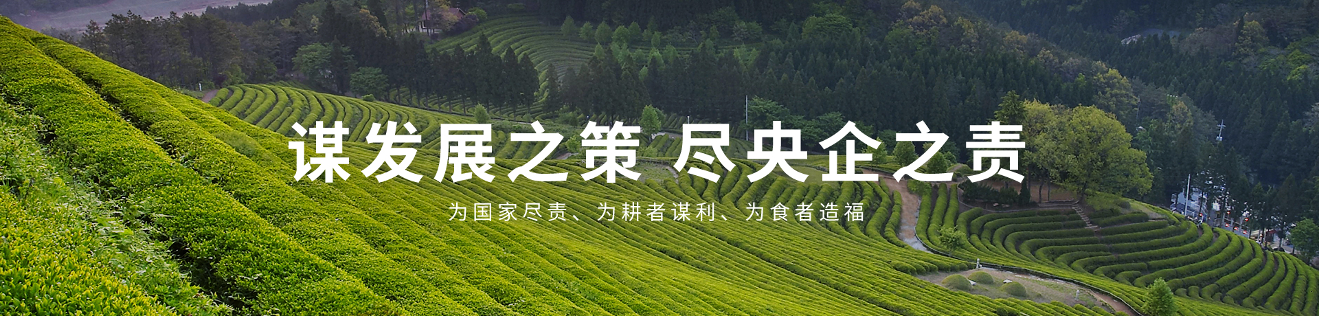 彩神lllv入口(中国游)官方网站