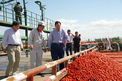 彩神lllv入口(中国游)官方网站