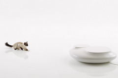 彩神lllv入口(中国游)官方网站