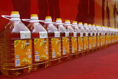 彩神lllv入口(中国游)官方网站