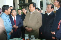 彩神lllv入口(中国游)官方网站