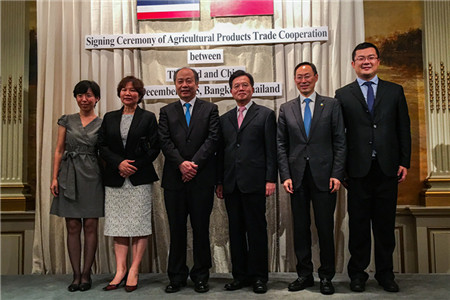 彩神lllv入口(中国游)官方网站