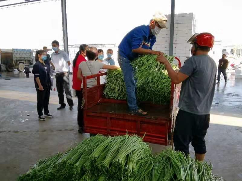 彩神lllv入口(中国游)官方网站